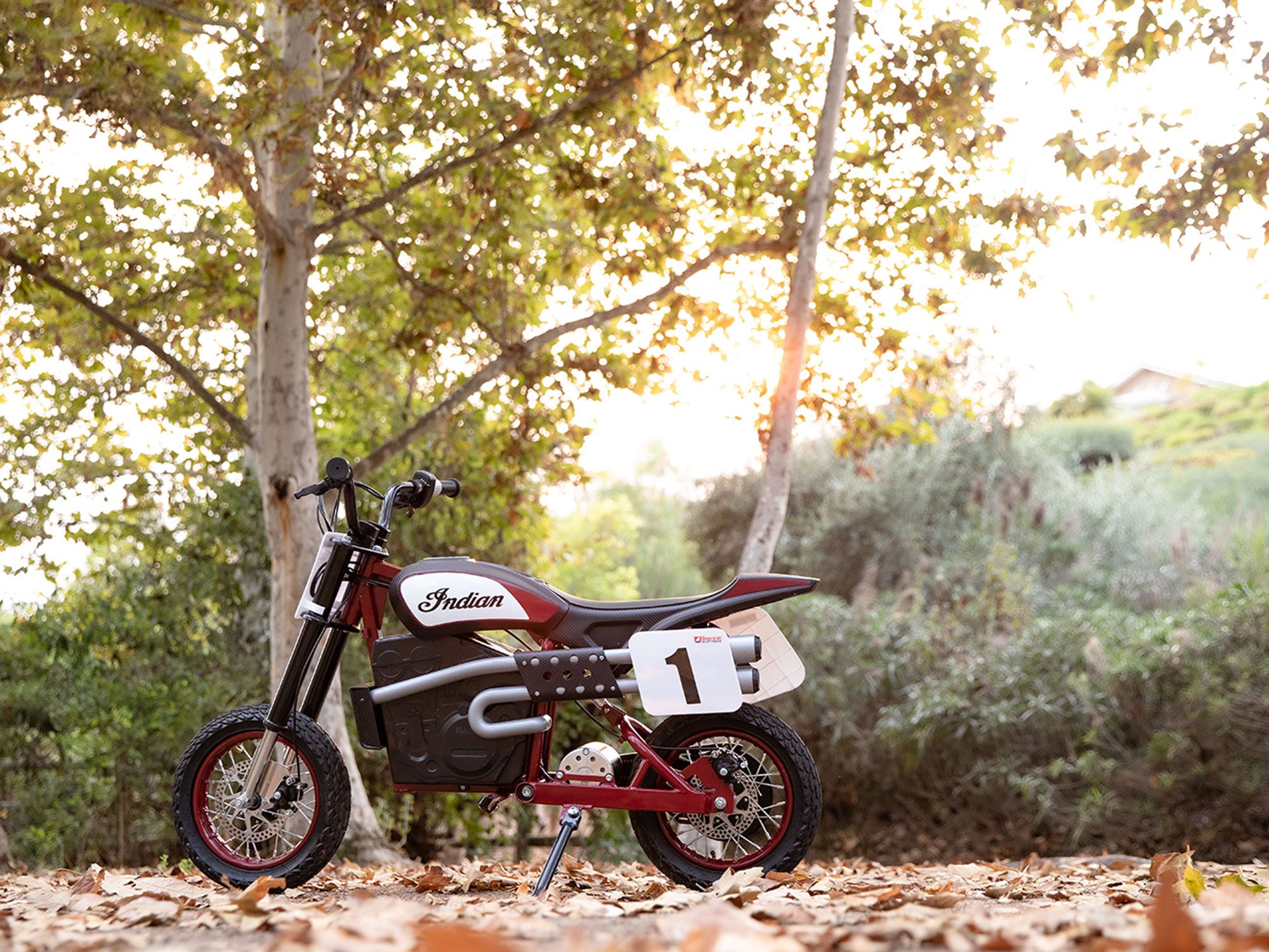 The Indian eFTR is a great twist-and-go electric bike for kids.