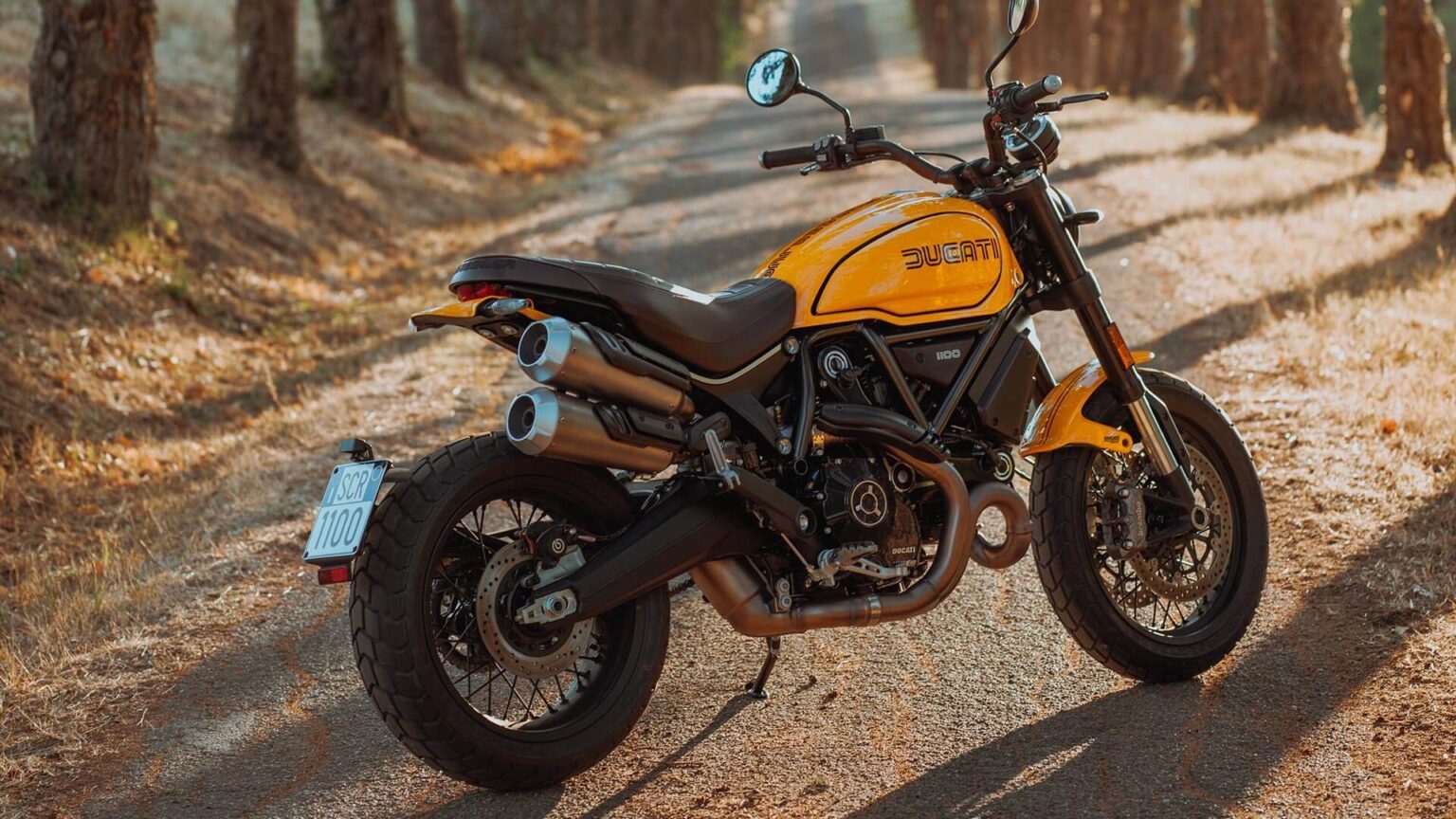 2022 Ducati 1100 Tribute Pro on dirt road in forest