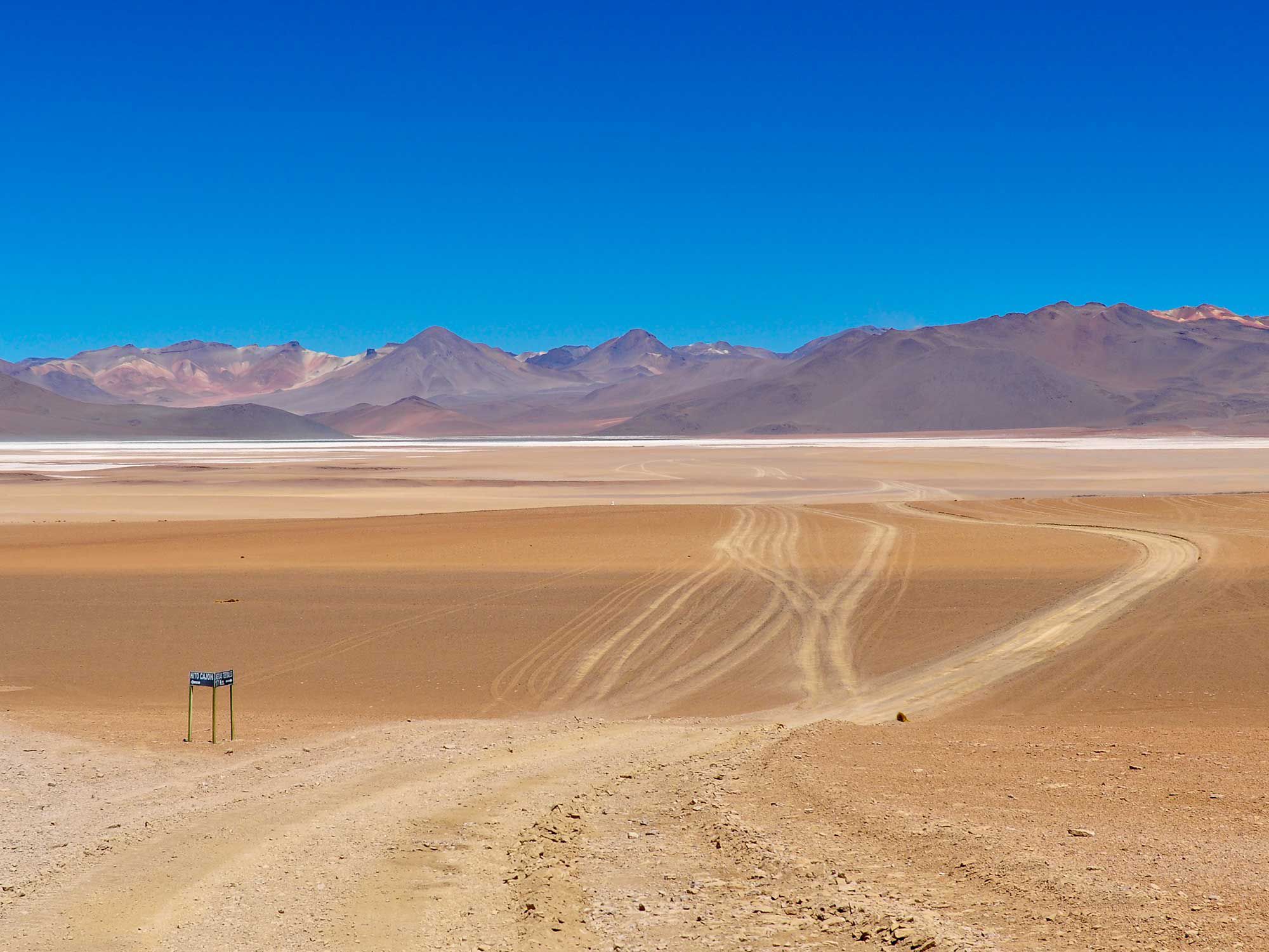 Roads can get a little confusing out beyond Uyuni, Bolivia, especially in the fading light, while looking out for your girlfriend and your cat, in the company of an inexperienced rider and his injured passenger.