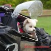 Black Dog Ride, depression, dementia, mental illness, suicide, motorcycles, charity