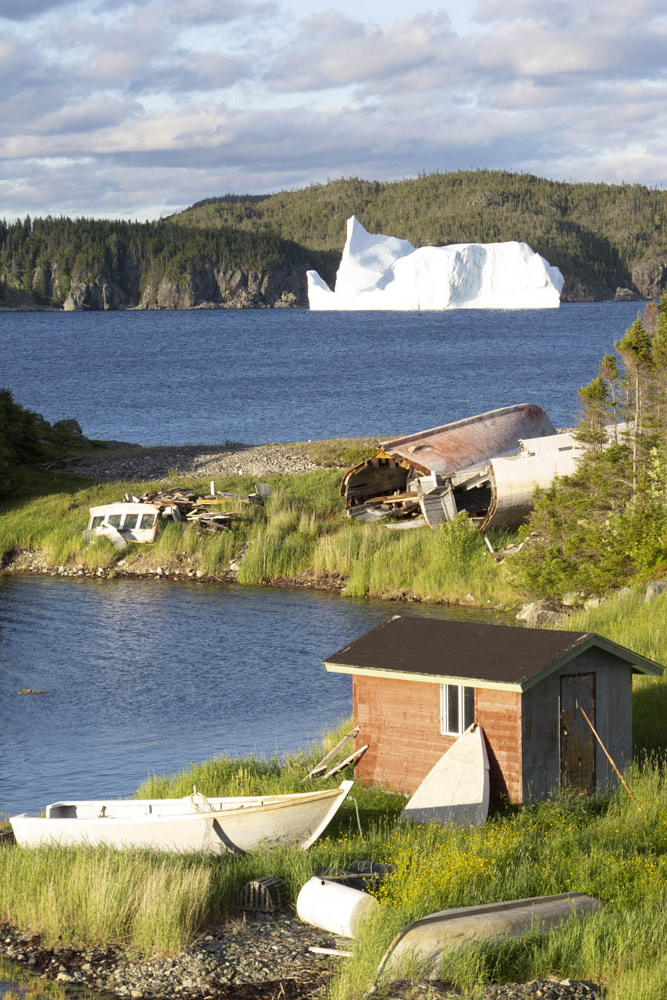 Iceberg in Smith's Harbour