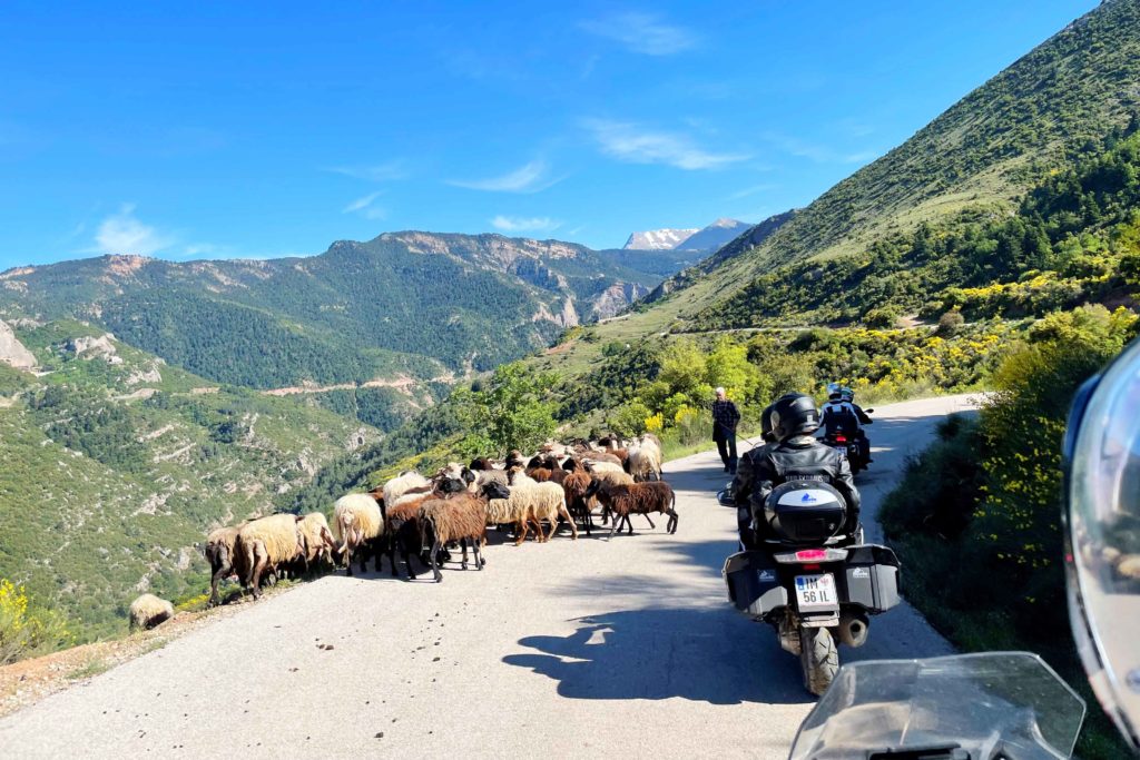 Edelweiss Bike Travel's Best of Greece Tour