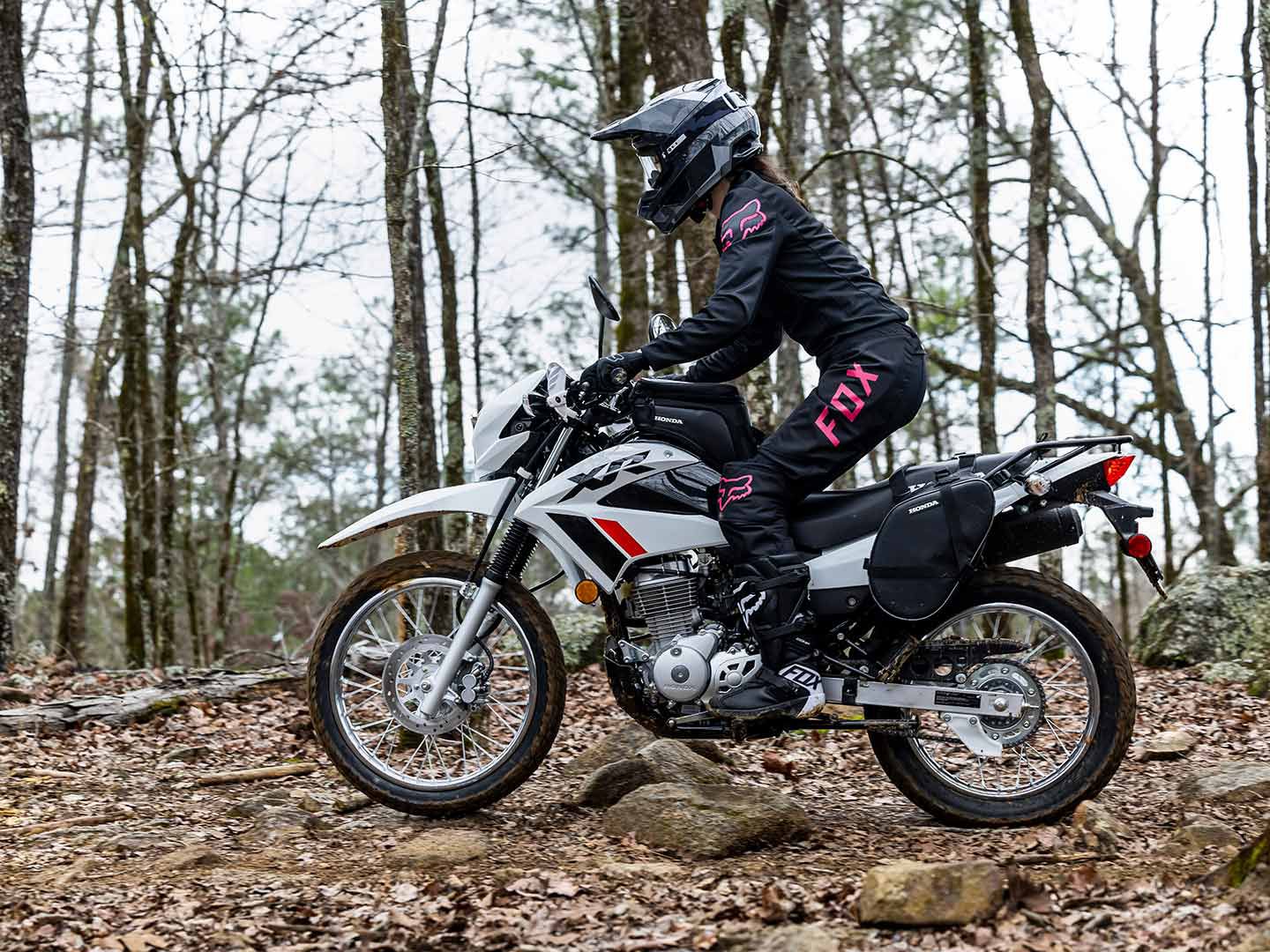 Honda will have accessories available for the new dual sport. The list of accessories includes a dual sport tank bag, dual sport saddlebags, hand guards, skid plate, and a 12-volt accessory socket.